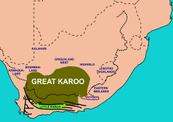 karoo